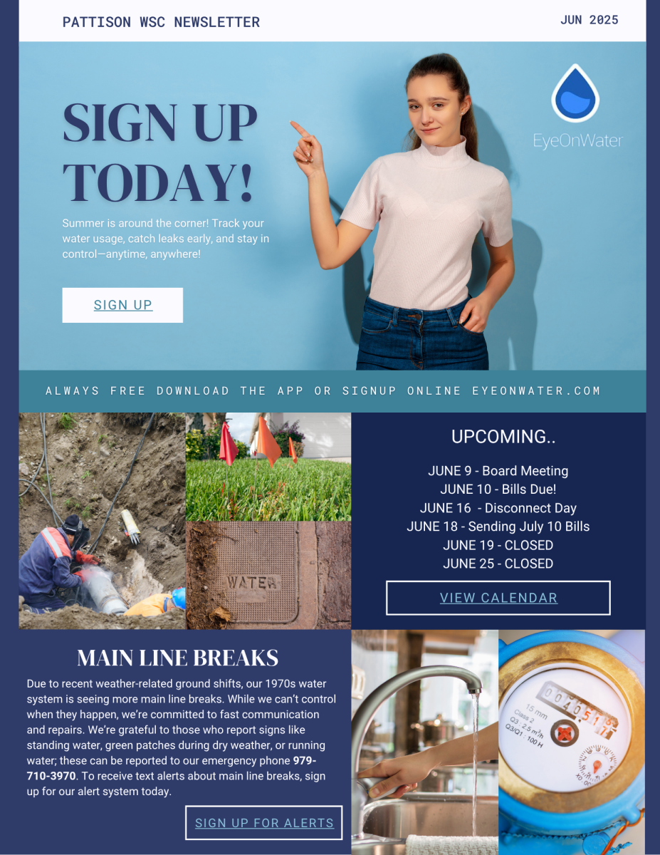 Newsletter